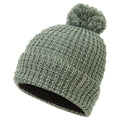 Pale Sage Montane Nev Beanie Hat Front